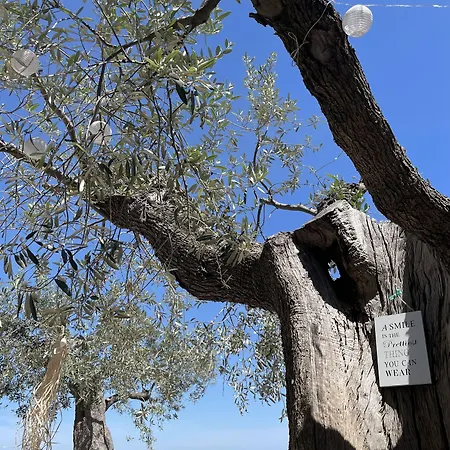 Hotel Alkimia Boutique Vasto