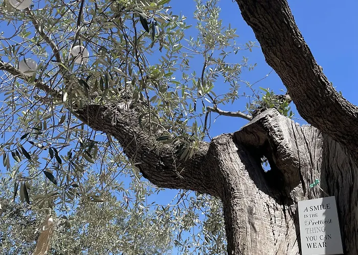 Hotel Alkimia Boutique Vasto